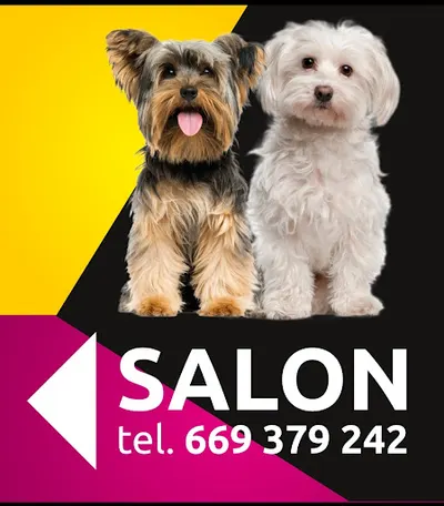 Salon pielęgnacyjny dla zwierząt/Fryzjer/Groomer